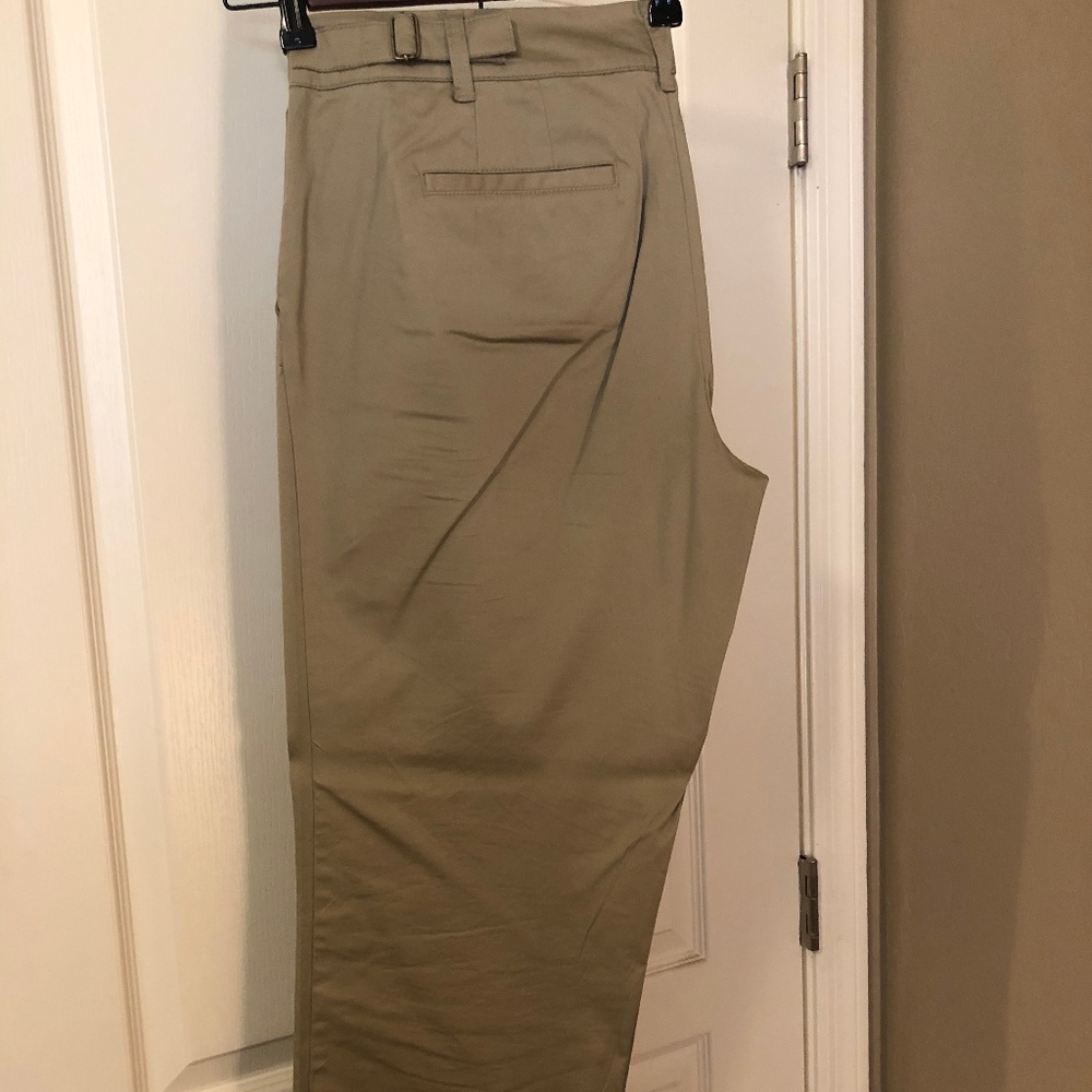 Ann Taylor Capri / Ankle/ Cropped Pants